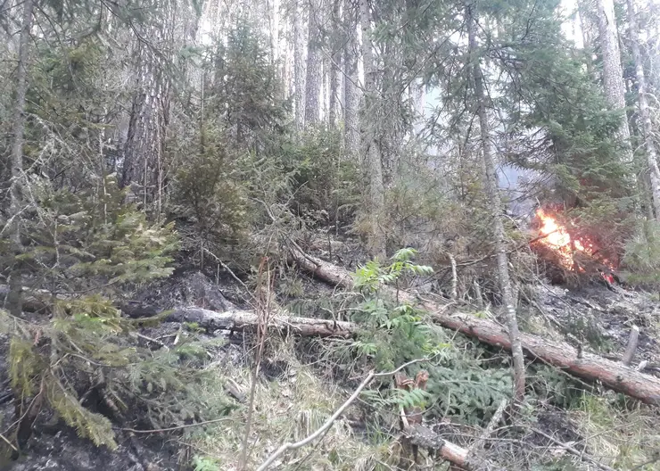 В Красноярске несколько дней тушили пожар на Столбах
