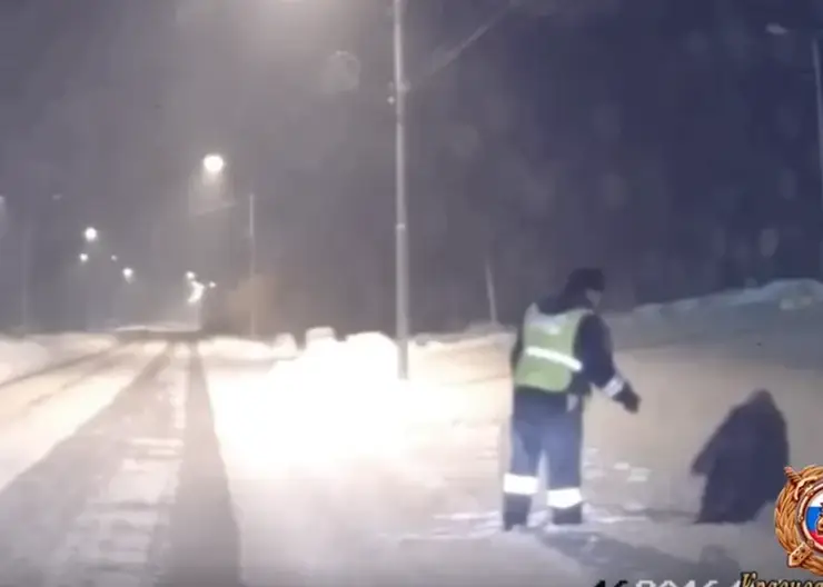 В Красноярском крае полицейские спасли пьяного мужчину от холодной смерти
