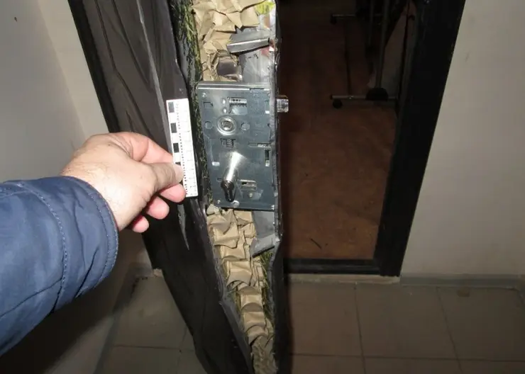 В Железногорске пенсионерка помогла полиции раскрыть ограбление квартиры
