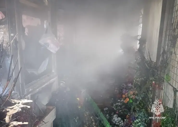 В Красноярске при пожаре в магазине искусственных цветов пострадал продавец