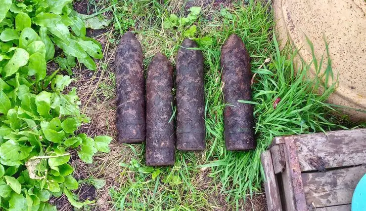 В Красноярском крае мужчина в огороде выкопал 4 снаряда