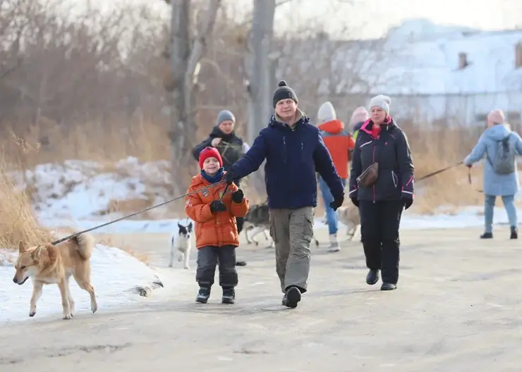 В Красноярске до 15 сентября появятся еще 4 площадки для выгула собак