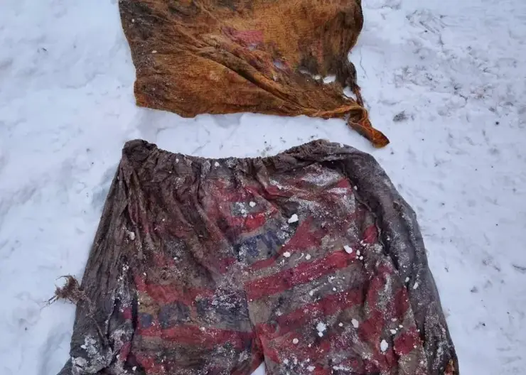 В Красноярске в городской канализации нашли смытые в унитаз футболку и шорты