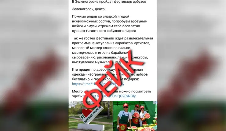 Администрация Зеленогорска предупредила о фейковом фестивале