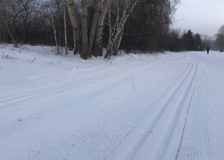 В Красноярске на острове Татышев обустроили лыжную трассу
