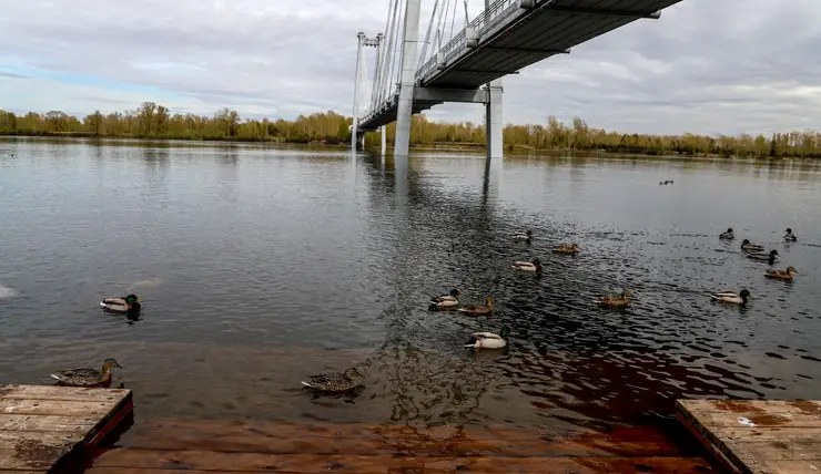 В Красноярске из Енисея достали тело 79-летней женщины