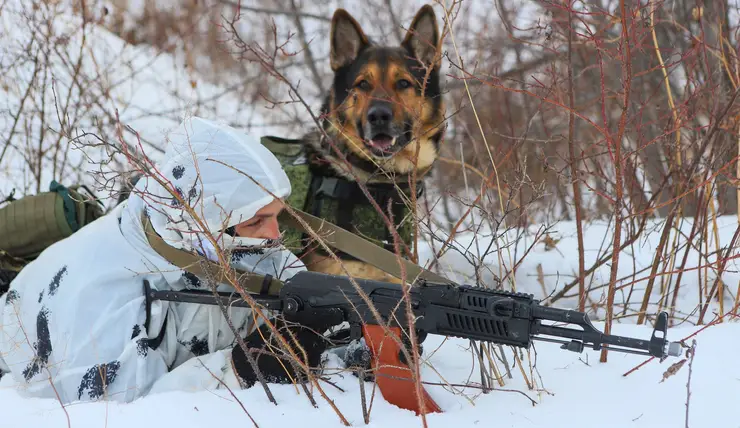 Боевые товарищи. Как тренируют собак спецназа ГУФСИН