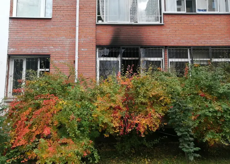 В Красноярске устроившего пожар в клинике «Чистый город» осудили на 15 лет лишения свободы