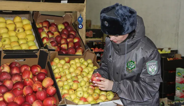 В 2022 году красноярский Россельхознадзор уничтожил 174 тонны зараженных овощей и фруктов