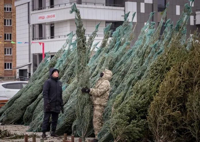 Где в Красноярске купить ёлку?