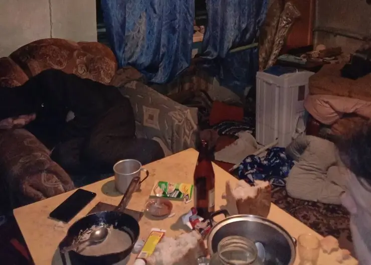 В Красноярском крае полуторагодовалого мальчика изъяли из квартиры с тараканами и клопами