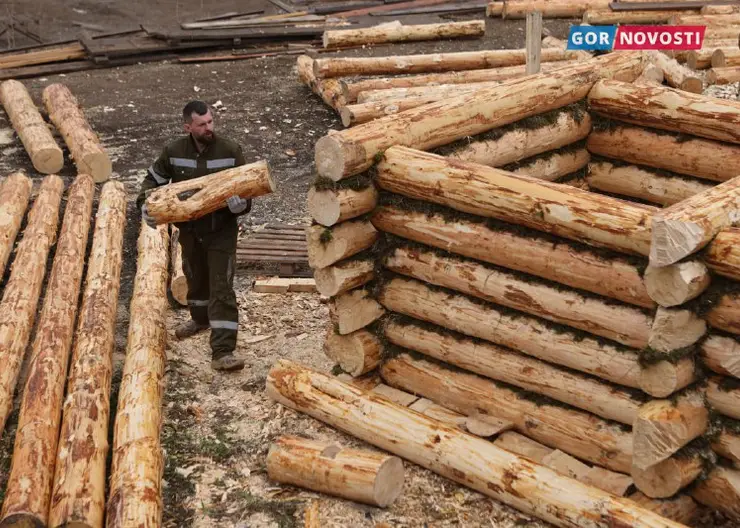 В Красноярске в «Роевом ручье» рядом с вольером белых медведей строят зимовье русских мореходов
