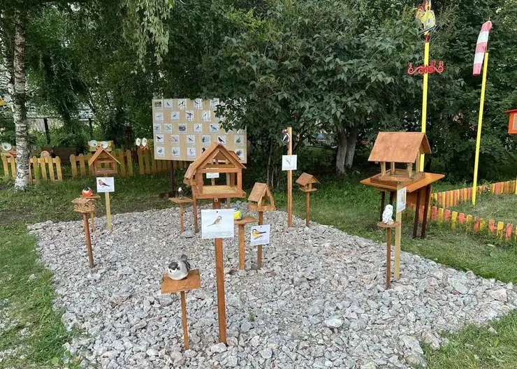 В Красноярске в детском саду появилась «столовая для пернатых»