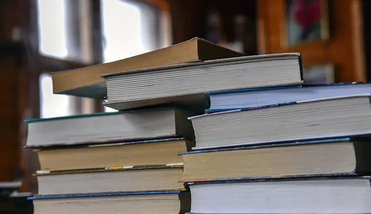 Учитель из Красноярска собрала для беженцев Донбасса более ста книг