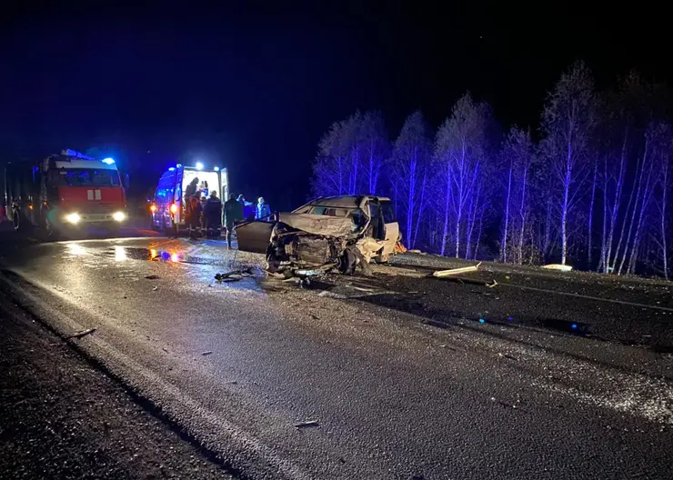 Два человека погибли в ДТП с пьяным водителем в Канском районе (видео)