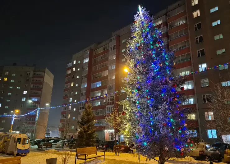 В 82 дворах Центрального района появятся новогодние ёлки