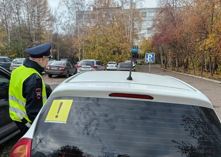 В Красноярске сотрудники ГИБДД устроят рейд на начинающих водителей