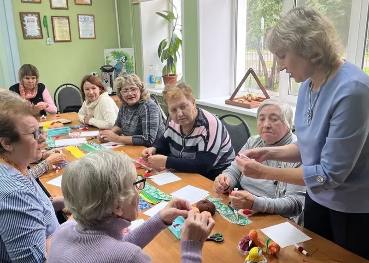 В Красноярске состоятся мастер-классы и спортивные мероприятия для пожилых людей