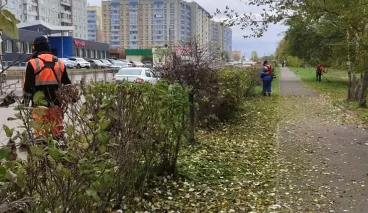 В Красноярске продолжают косить траву