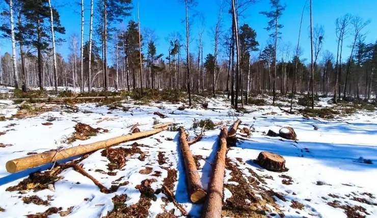 Предприятие в Красноярском крае заплатит 58 млн рублей за загрязнение окружающей среды
