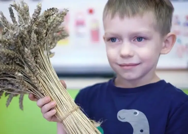 Мальчик из Красноярского края стал призером конкурса «Расскажи миру о своей Родине»