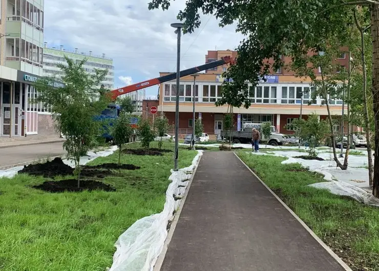 В Красноярске озеленяют сквер Казачий