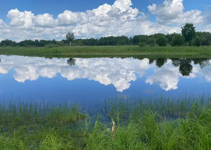 Стали известны подробности гибели 14-летнего подростка на озере в Красноярском крае
