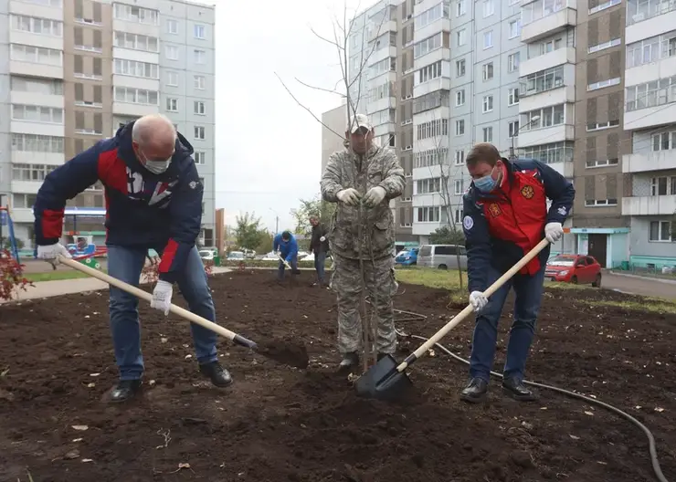 В Красноярском крае высадят более 111 тысяч деревьев в память погибшим в Великой Отечественной войне