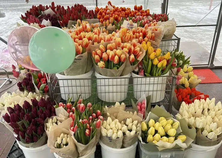 На территории «Цветочного квартала» в Красноярске открыли праздничную продажу цветов