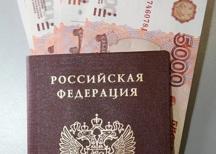 Роспотребнадзор помог жительнице Красноярского края через суд вернуть деньги за некачественный утюг