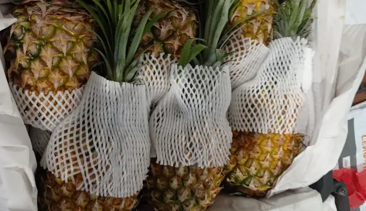 В Красноярск пытались ввезти 995 кг зараженных ананасов из Китая