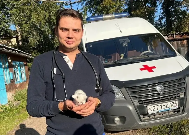 В Красноярске врач скорой помощи спас пострадавшего в пожаре котёнка