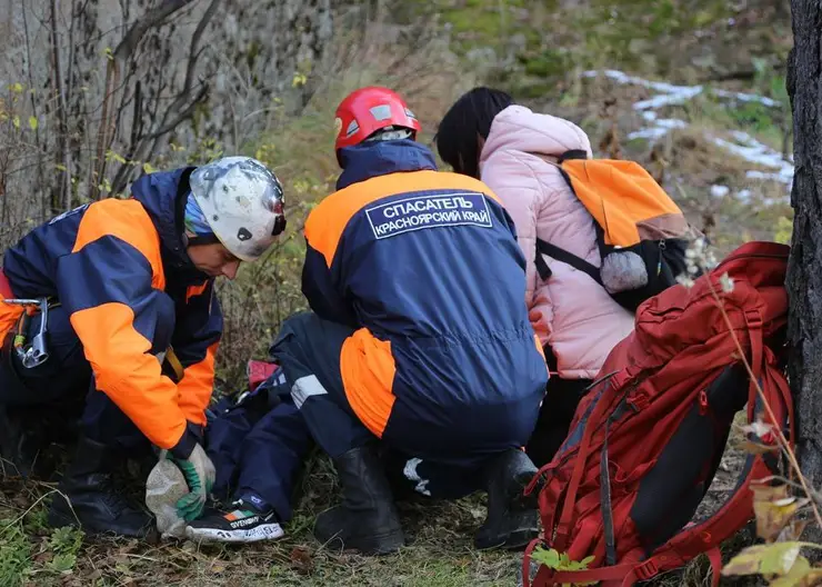 В Красноярском крае в лесу обнаружили пропавшего мужчину