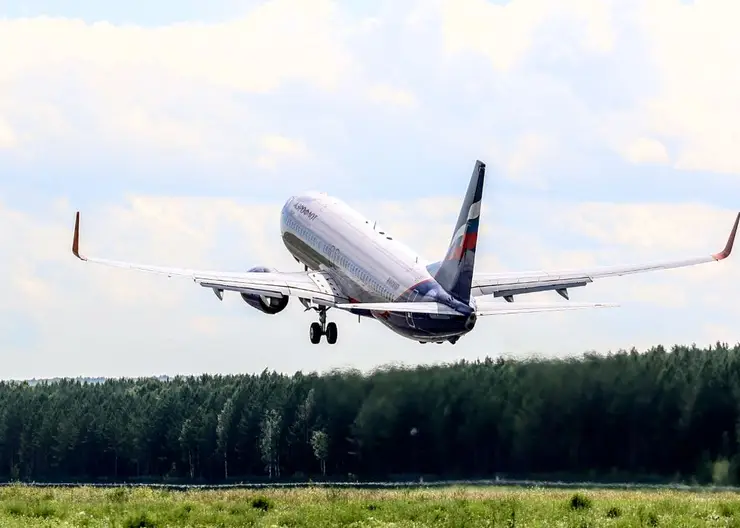 В Красноярске задержали самолет в Таиланд из-за заявившего о минировании дебошира