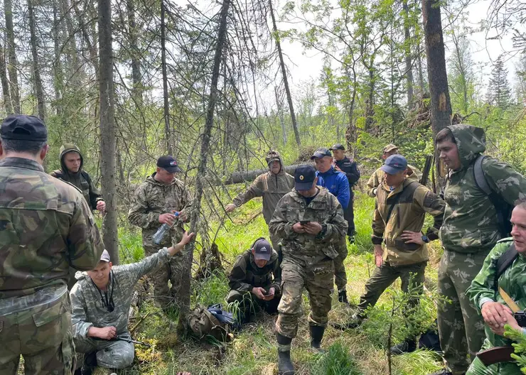 В Красноярском крае полицейские нашли пропавшего в лесу 63-летнего мужчину