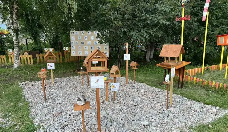 В Красноярске в детском саду появилась «столовая для пернатых»