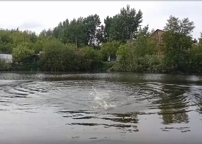 В МЧС назвали самые опасные для купания водоемы в Красноярском крае