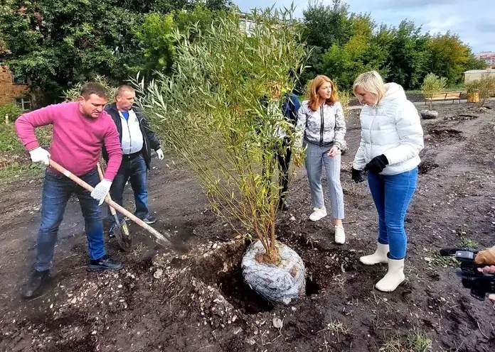 В Красноярске начали озеленять новый сквер им. А.В.Водянникова в Покровском