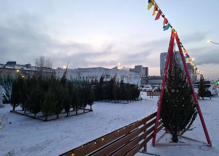 В Центральном районе Красноярска заработали два елочных базара