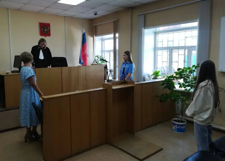 В Минусинске женщину оштрафовали на 5 тысяч рублей за истязание сына