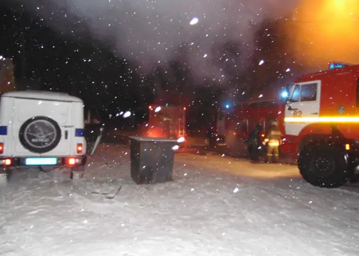 С начала года в пожарах в Красноярском крае погибли более 12 человек