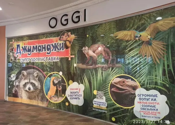 В Красноярске закрыли передвижной зоопарк «Джуманджи»