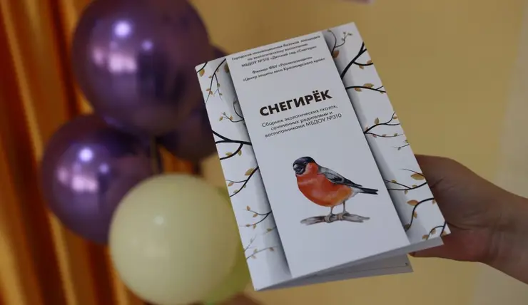 В красноярском детском саду «Снегири» выпустили сборник сказок об экологии