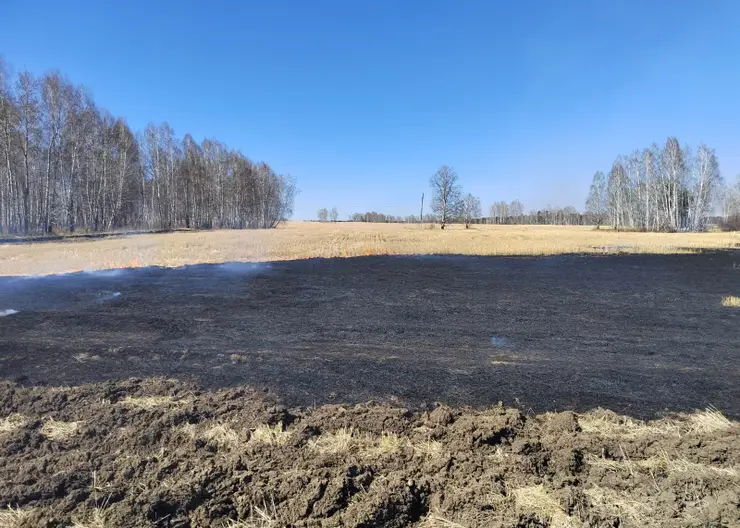 Агроном из Канского района выжигал траву возле леса «для пахоты»