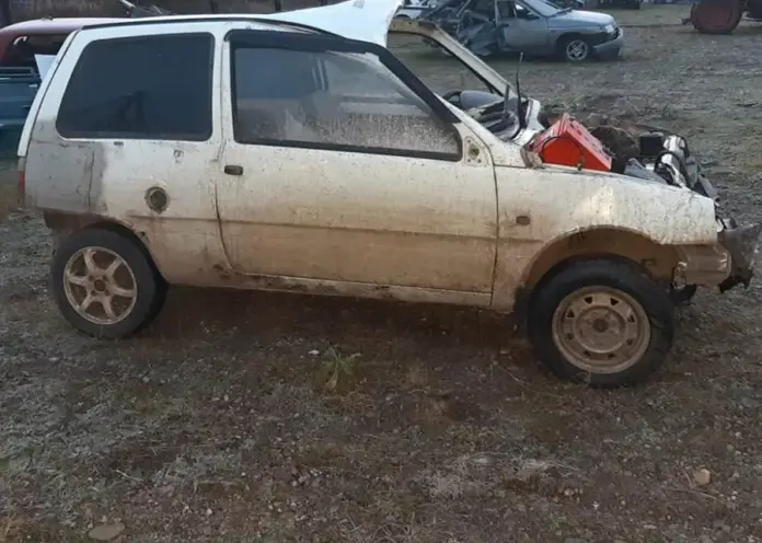 Под Шарыпово автомобилист наехал на лошадь