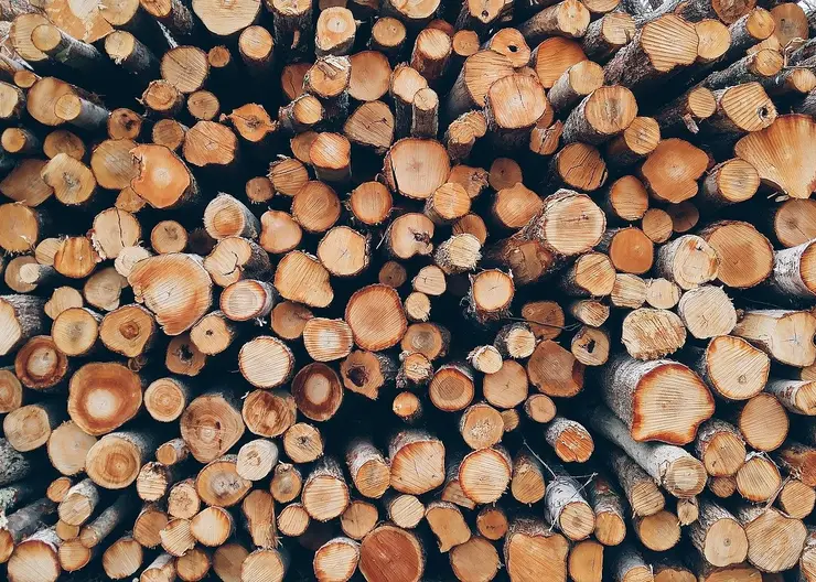 В Лесосибирске запустили новый деревообрабатывающий цех