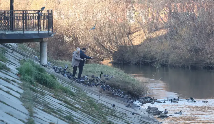 В выходные красноярцев ждет холодная и пасмурная погода