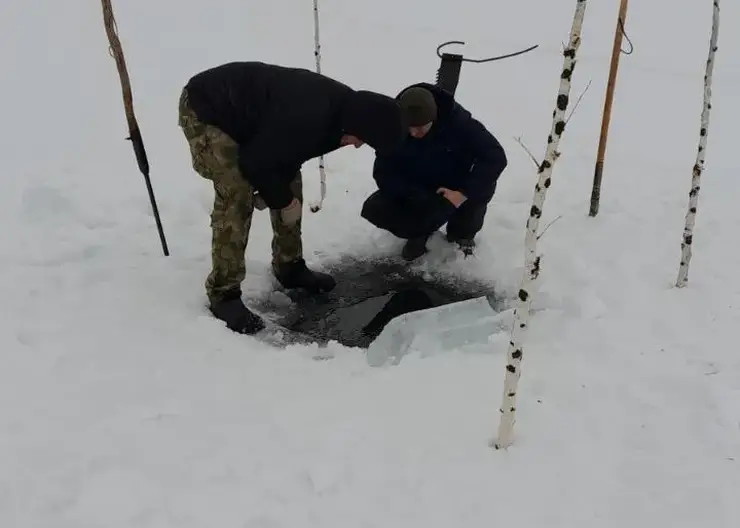 В Красноярском крае сотрудники МЧС спасли сотни рыб от удушья