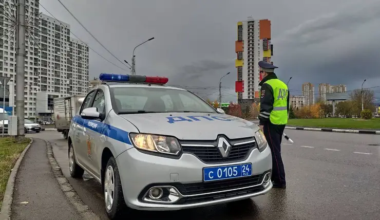 В Красноярске полицейские рассказали о самом безопасном месте для детей в  машине