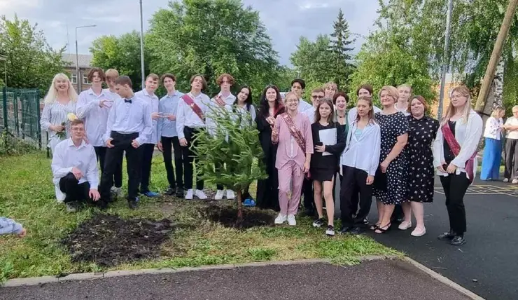 В Красноярске выпускники школ высаживают аллеи из сосен и елей